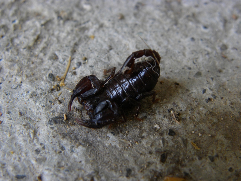 DSCN5604.JPG